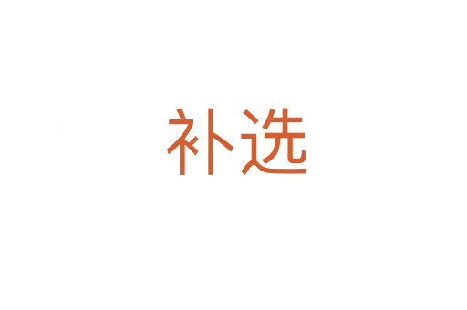 补选