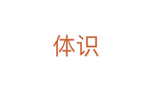 体识