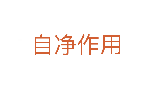 自净作用