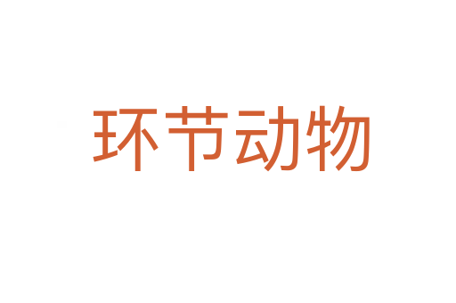 环节动物