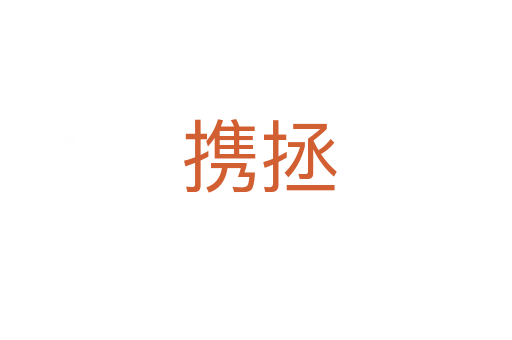 携拯