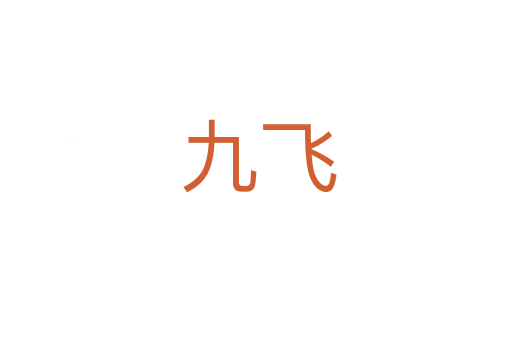 九飞