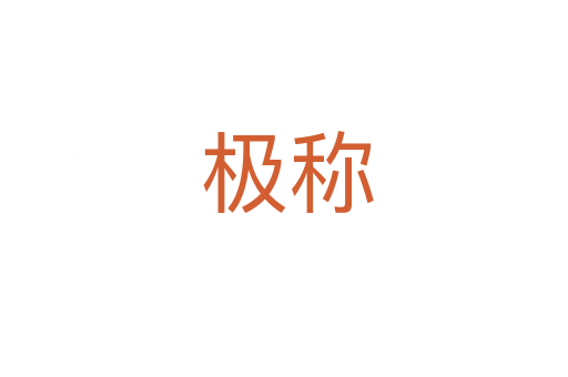 极称