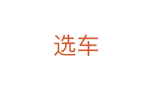 选车