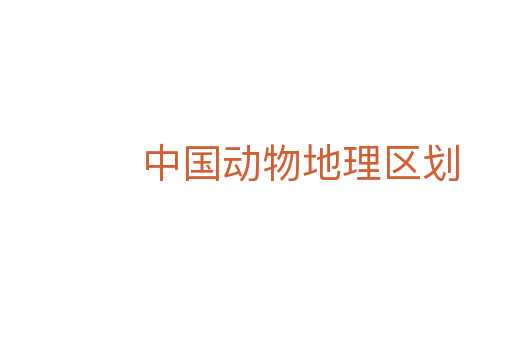 中国动物地理区划