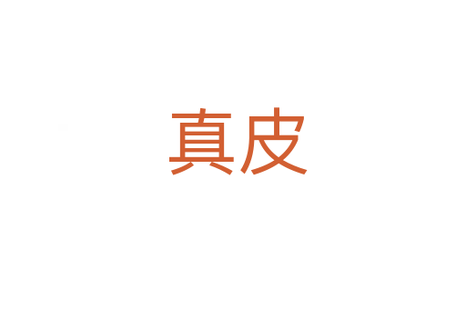 真皮