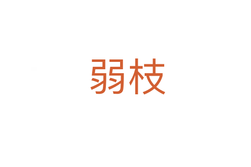 弱枝