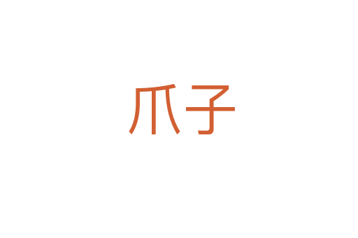 爪子