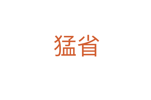 猛省