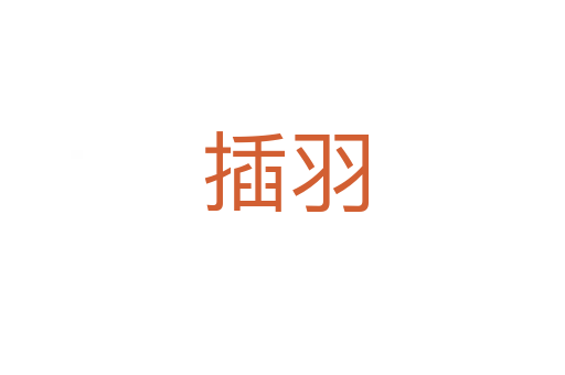 插羽