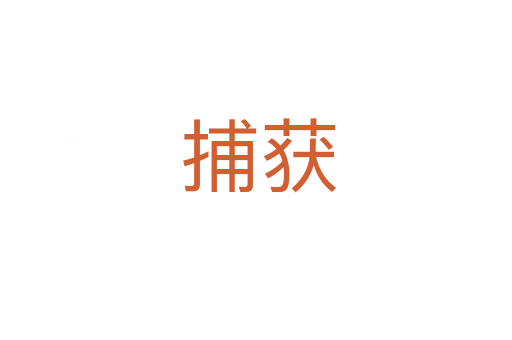 捕获