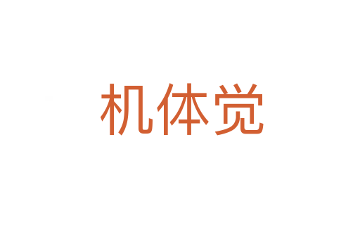 机体觉