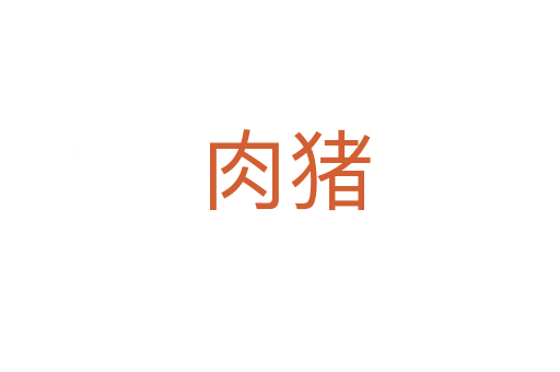 肉猪