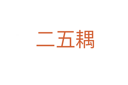 二五耦