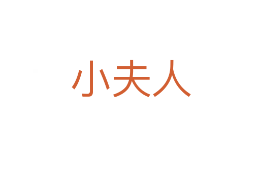 小夫人