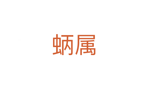 蛃属