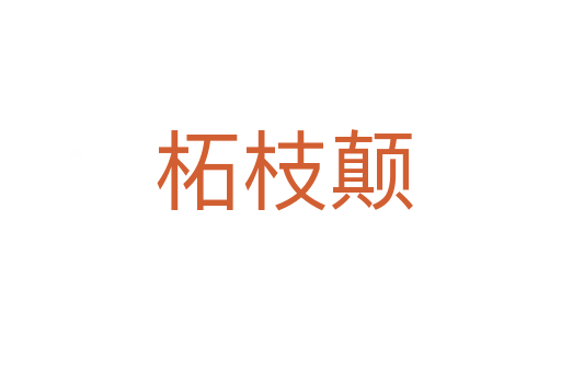 柘枝颠