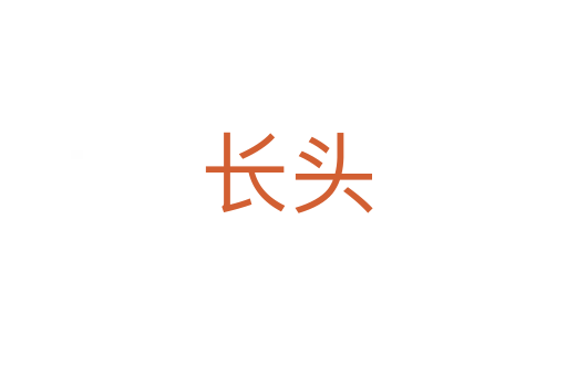 长头
