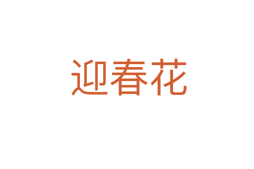 迎春花