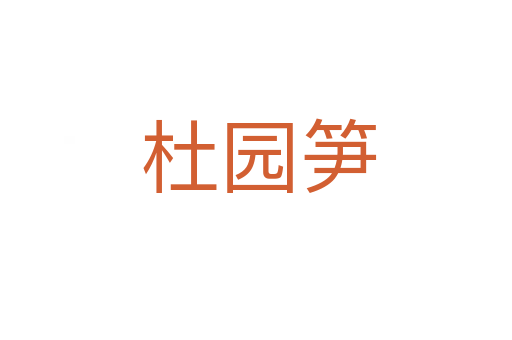 杜园笋