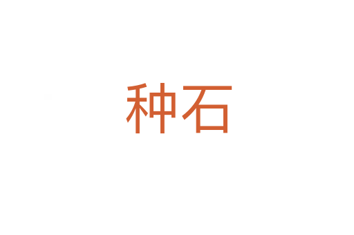种石