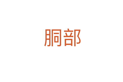 胴部