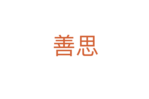 善思