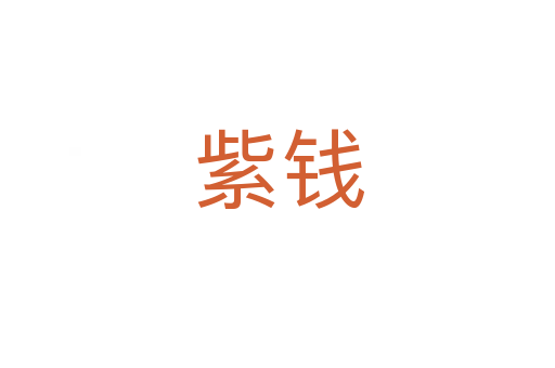 紫钱