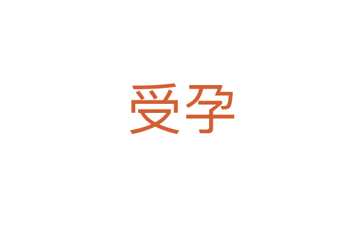受孕