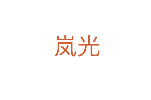 岚光