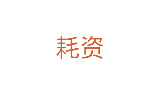 耗资