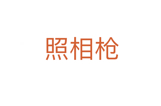 照相枪