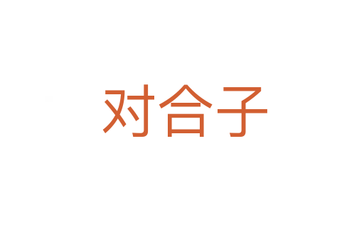 对合子
