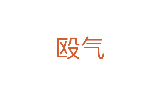 殴气