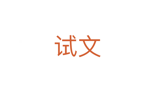 试文