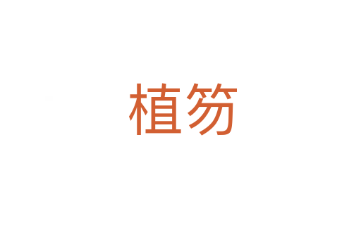 植笏