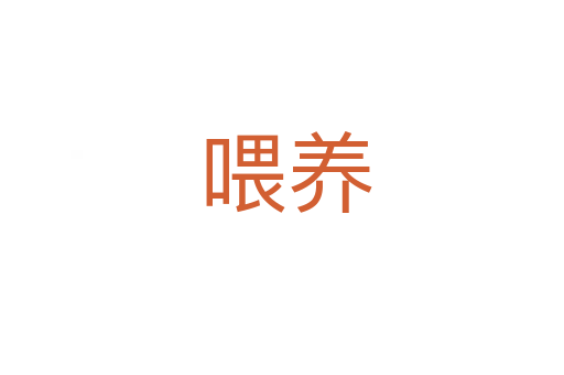 喂养