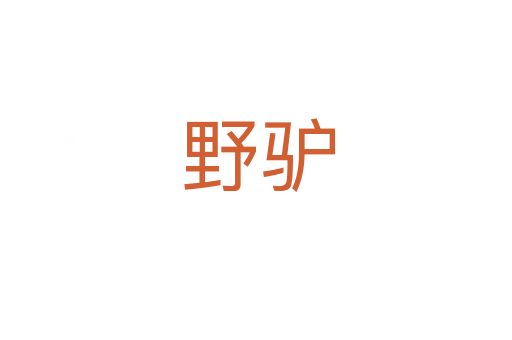 野驴