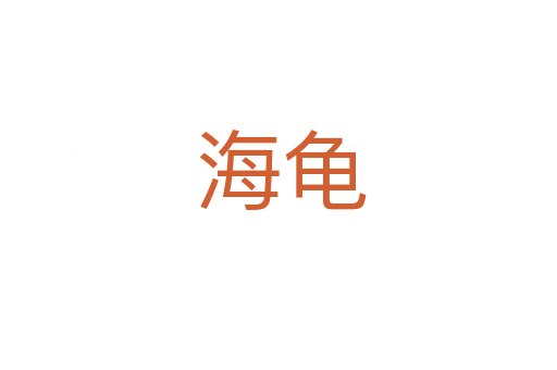 海龟