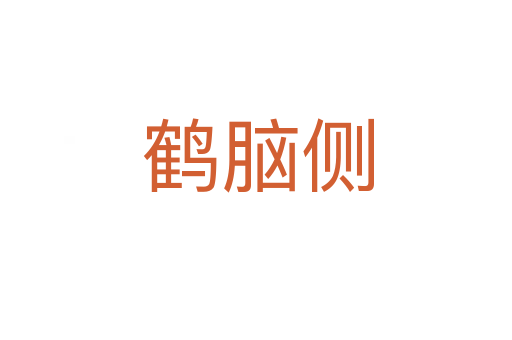鹤脑侧