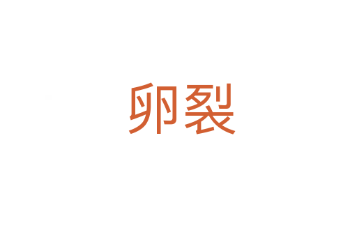 卵裂