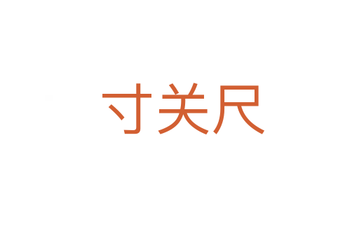 寸关尺