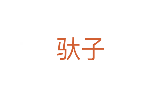 驮子