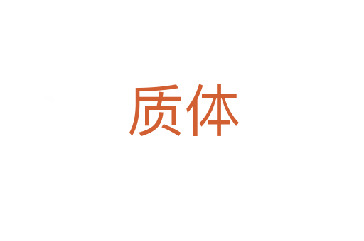 质体