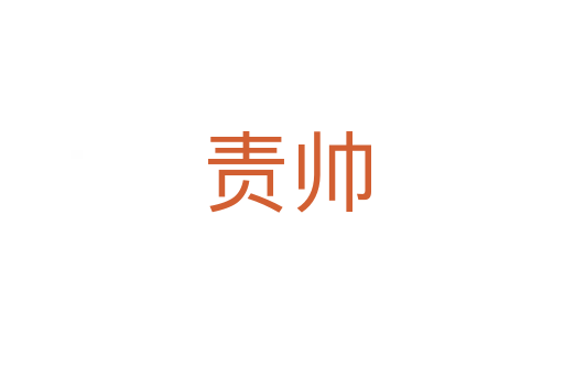 责帅