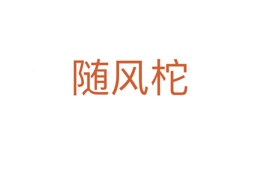 随风柁