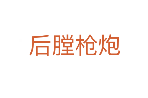 后膛枪炮