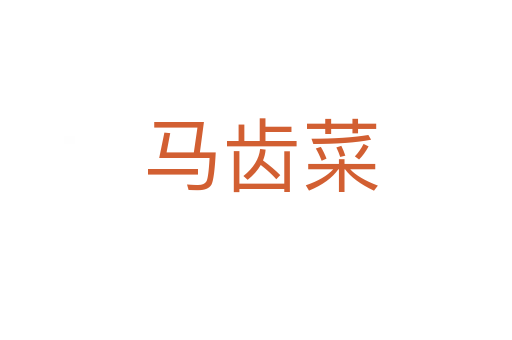 马齿菜
