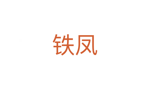 铁凤