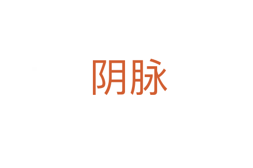 阴脉